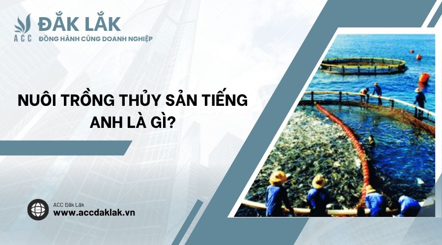 Nuôi Trồng Thủy Sản Tiếng Anh La Gì